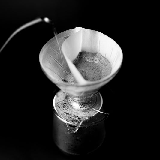 Sibarist Dual Chamber Filter