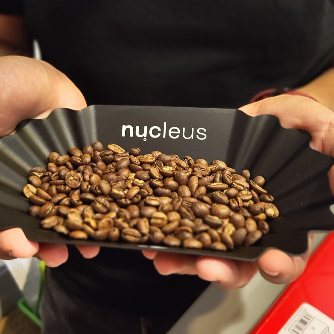 Exploring the Perfect Roast: Profile Packs A to E for Filter Coffee - Grey Matter Coffee Werks
