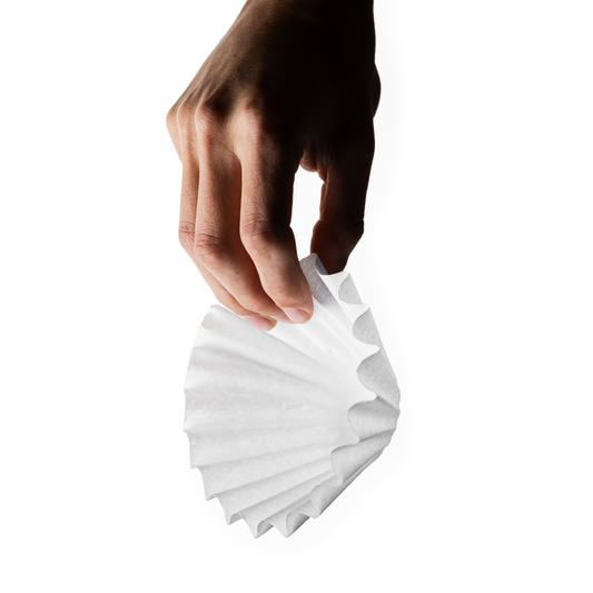 Hand holding a paper filter against a white background