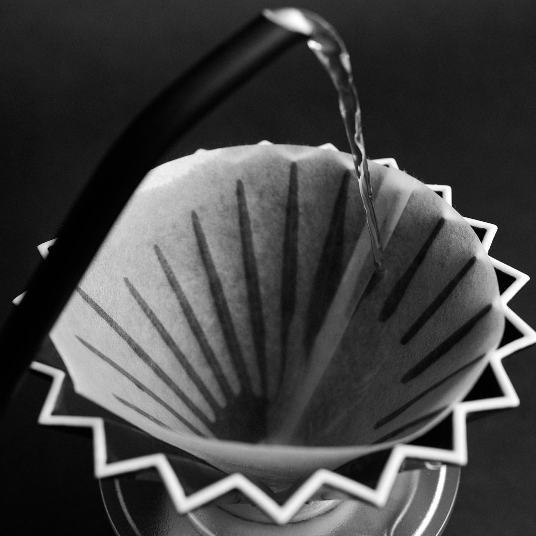 Sibarist Cone