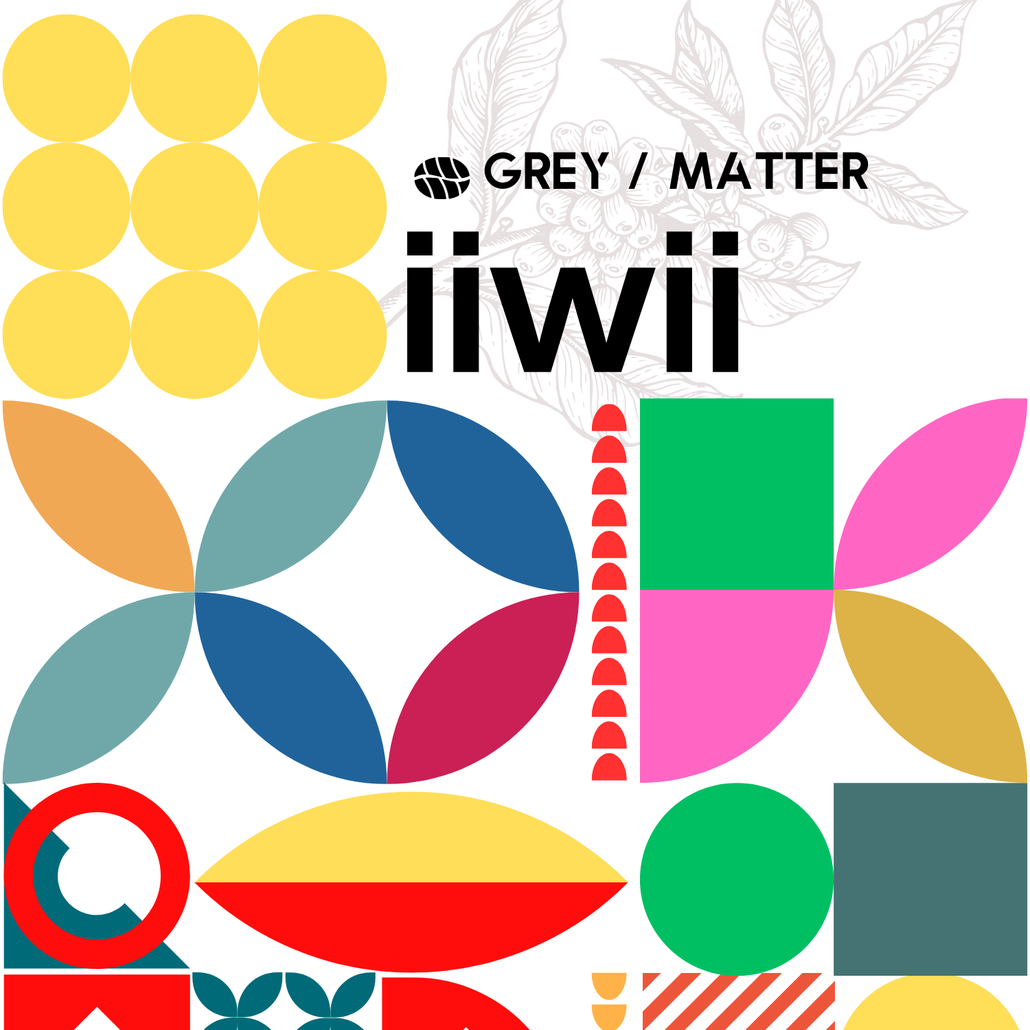 iiwii 1kg